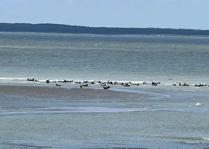 Appartement Mon Cocooning Au Pied De La T3 Couchages